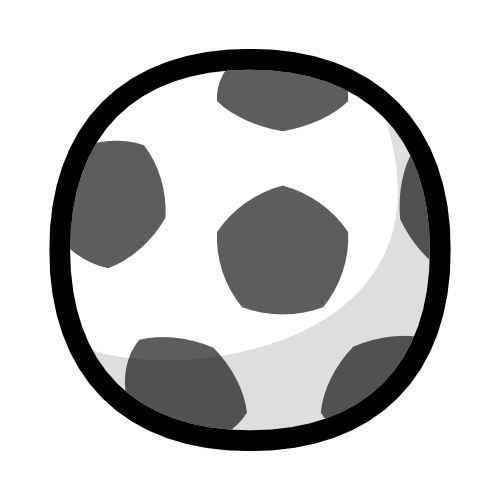  A soccer ball.